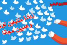 زيادة متابعين تويتر وهميين مجانا