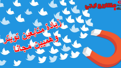 زيادة متابعين تويتر وهميين مجانا