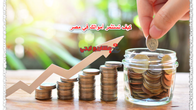 كيف تستثمر أموالك في مصر