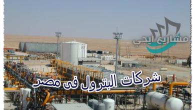 شركات البترول فى مصر