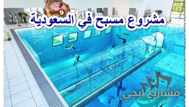 مشروع مسبح في السعودية