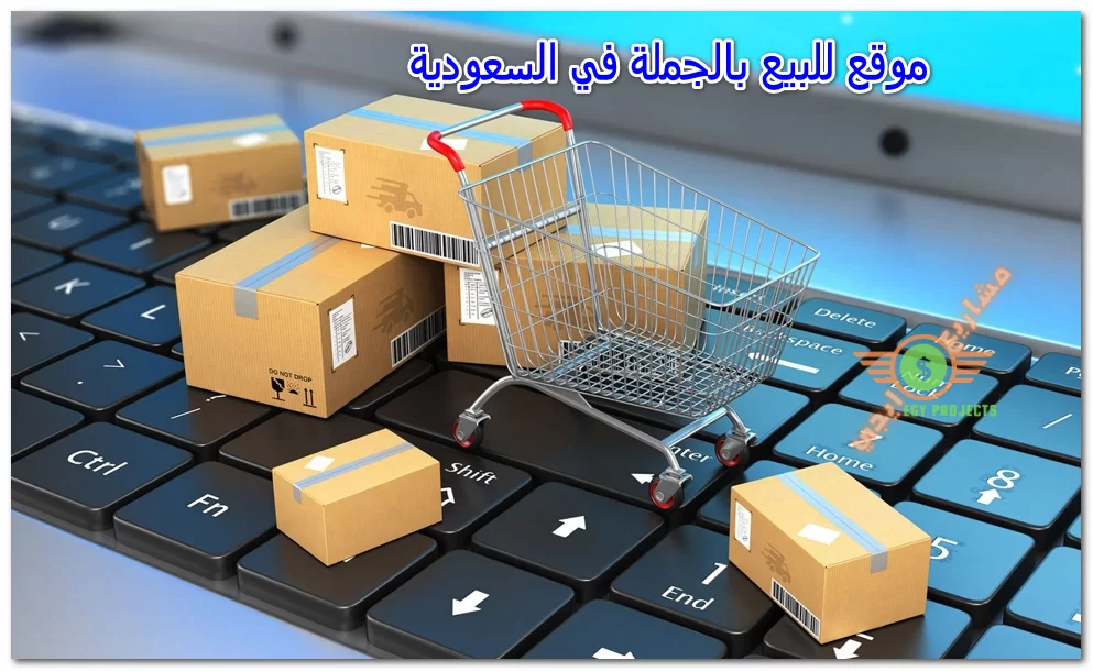 موقع الكتروني للبيع بالجملة في السعودية