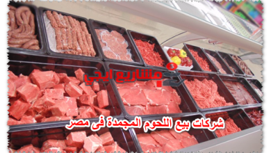 شركات بيع اللحوم المجمدة فى مصر