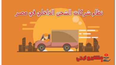 نظام شركات الشحن الداخلي في مصر
