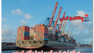 شركات استيراد من الصين لحساب الغير في مصر