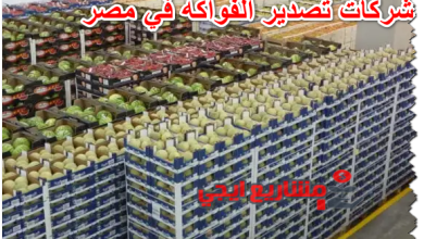 شركات تصدير الفواكه في مصر