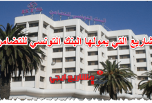 المشاريع التي يمولها البنك التونسي للتضامن