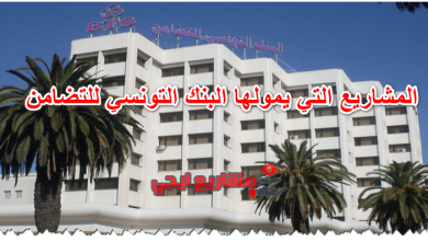 المشاريع التي يمولها البنك التونسي للتضامن