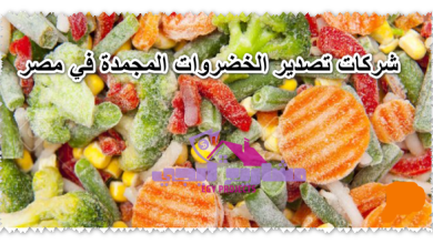 شركات تصدير الخضروات المجمدة في مصر