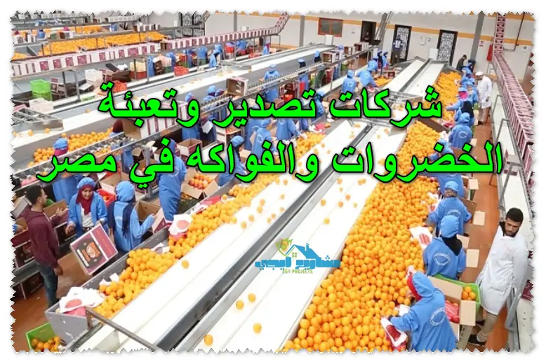 شركات تصدير وتعبئة الخضروات والفواكه في مصر