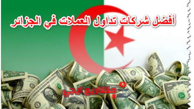 أفضل شركات تداول العملات في الجزائر