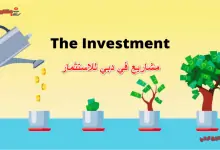 مشاريع في دبي للاستثمار